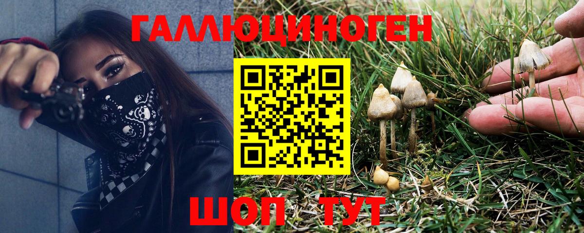 Галлюциногенные грибы Magic Shrooms Рассказово