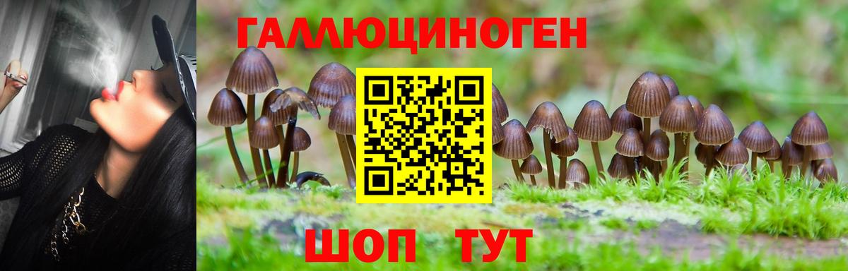 Псилоцибиновые грибы MAGIC MUSHROOMS  Вход с VPN  Рассказово  Галлюциногенные грибы прущие грибы 